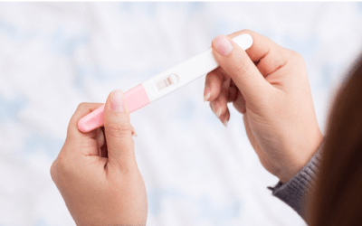Mejora la fertilidad con la alimentación